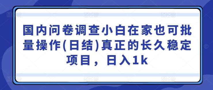 国内问卷调查小白在家也可批量操作(日结)真正的长久稳定项目，日入1k【揭秘】-九节课