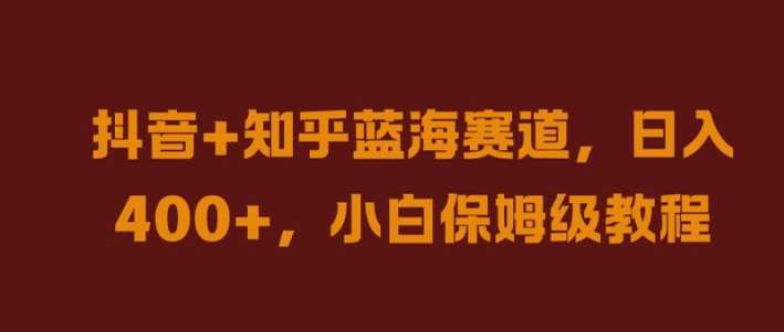 抖音+知乎蓝海赛道，日入几张，小白保姆级教程【揭秘】-九节课