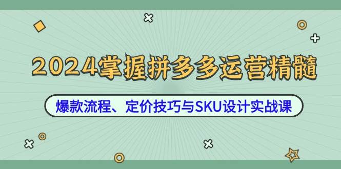 （12703期）2024掌握拼多多运营精髓：爆款流程、定价技巧与SKU设计实战课-九节课