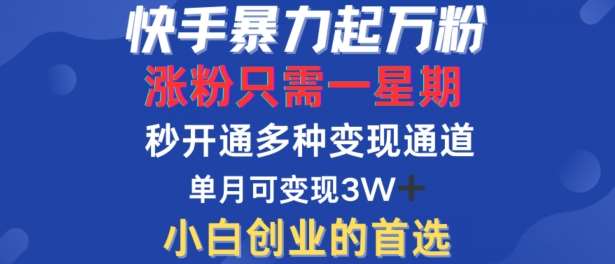 快手暴力起万粉，涨粉只需一星期，多种变现模式，直接秒开万合，单月变现过W【揭秘】-九节课