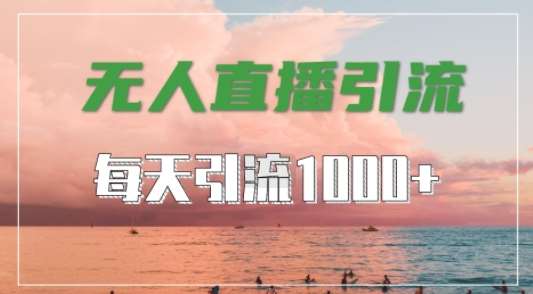 抖音快手视频号全平台通用，无人直播引流法，超暴力引流1000+高质量精准创业粉【揭秘】-九节课