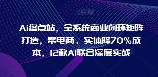 Ai终点站，全系统商业闭环矩阵打造，帮电商、实体降70%成本，12款Ai联合深度实战【0906更新】-九节课