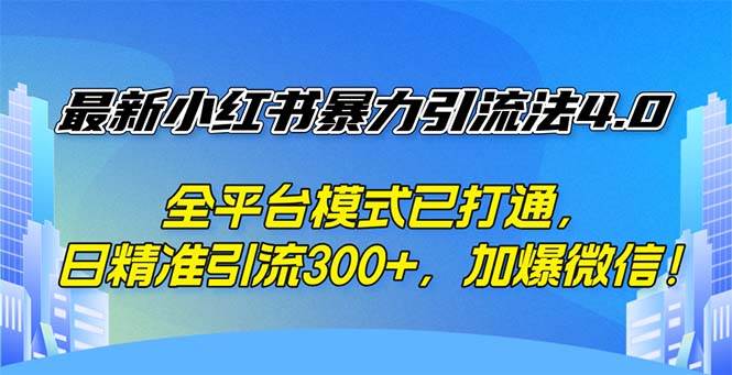 （12505期）最新小红书暴力引流法4.0， 全平台模式已打通，日精准引流300+，加爆微…-九节课