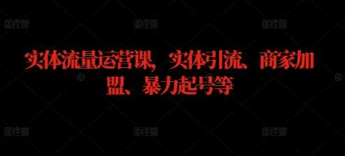 实体流量运营课，实体引流、商家加盟、暴力起号等-九节课