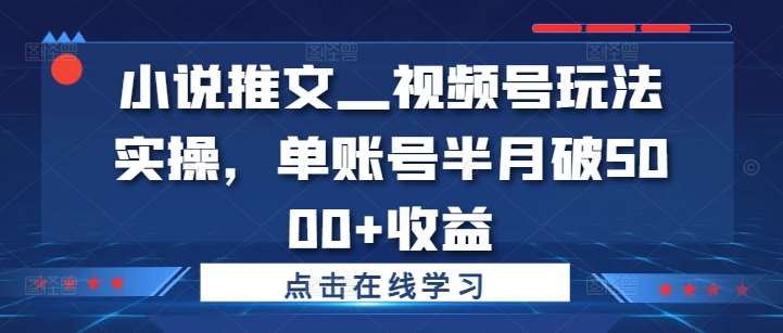 小说推文—视频号玩法实操，单账号半月破5000+收益-九节课