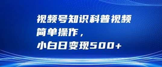 视频号知识科普视频，简单操作，小白日变现500+【揭秘】-九节课