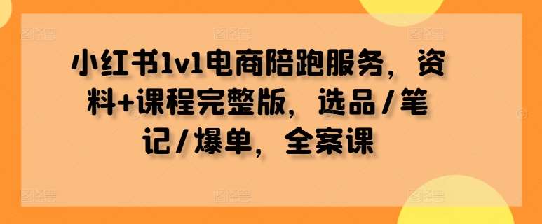 小红书1v1电商陪跑服务，资料+课程完整版，选品/笔记/爆单，全案课-九节课