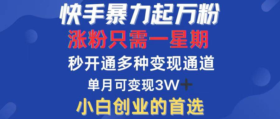 （12651期）快手暴力起万粉，涨粉只需一星期，多种变现模式，直接秒开万合，小白创…-九节课