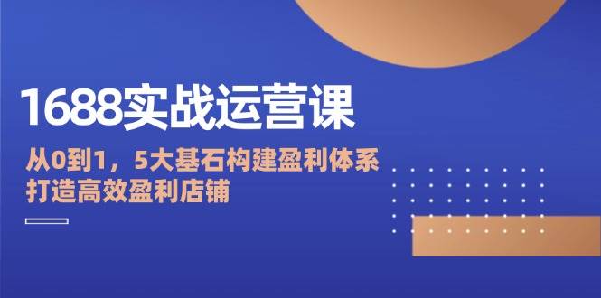 （12482期）1688实战运营课：从0到1，5大基石构建盈利体系，打造高效盈利店铺-九节课