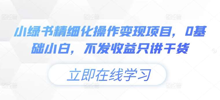 小绿书精细化操作变现项目，0基础小白，不发收益只讲干货-九节课