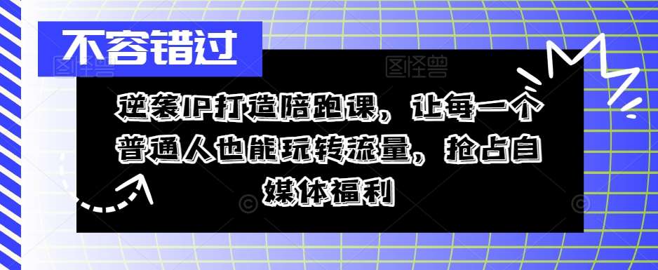 逆袭IP打造陪跑课，让每一个普通人也能玩转流量，抢占自媒体福利-九节课