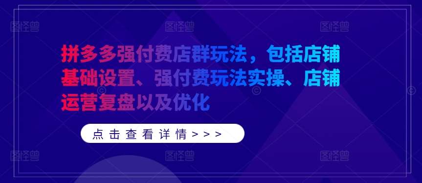 拼多多强付费店群玩法，包括店铺基础设置、强付费玩法实操、店铺运营复盘以及优化-九节课