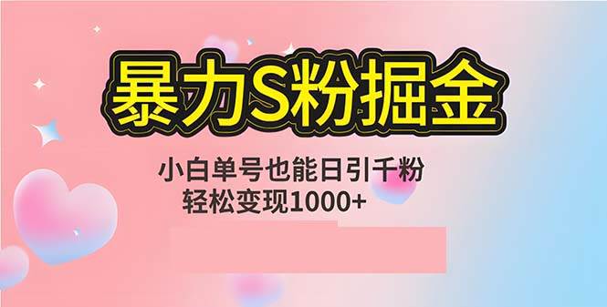 （12778期）单人单机日引千粉，变现1000+，S粉流量掘金计划攻略-九节课