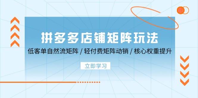 （12720期）拼多多店铺矩阵玩法：低客单自然流矩阵 / 轻付费矩阵 动销 / 核心权重提升-九节课