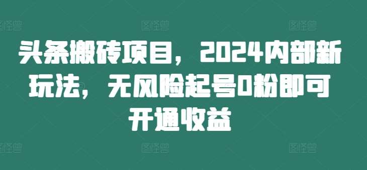 头条搬砖项目，2024内部新玩法，无风险起号0粉即可开通收益-九节课