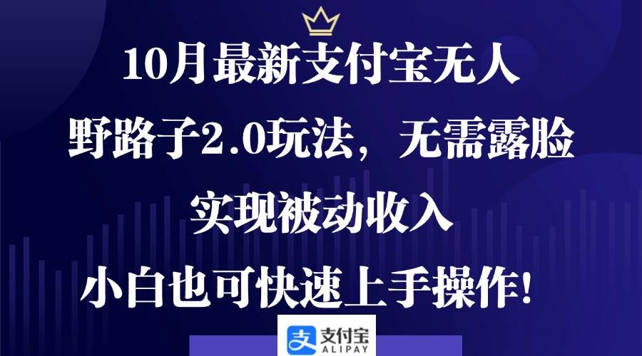 （12824期）10月最新支付宝无人野路子2.0玩法，无需露脸，实现被动收入，小白也可…-九节课