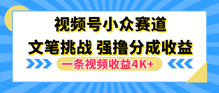 视频号小众赛道，文笔挑战，一条视频收益4K+-九节课