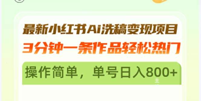 （13182期）最新小红书Ai洗稿变现项目 3分钟一条作品轻松热门 操作简单，单号日入800+-九节课