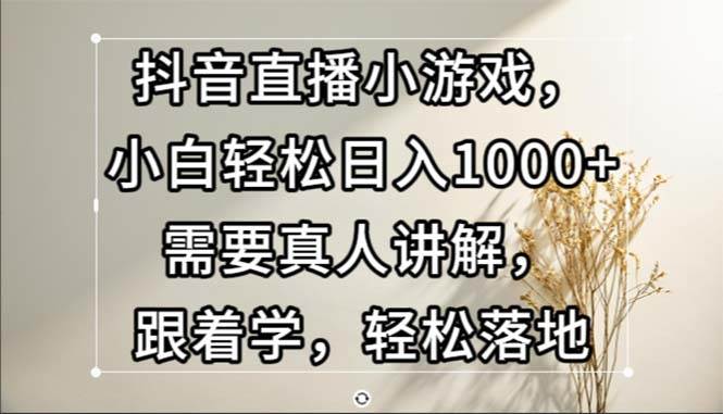 （13075期）抖音直播小游戏，小白轻松日入1000+需要真人讲解，跟着学，轻松落地-九节课