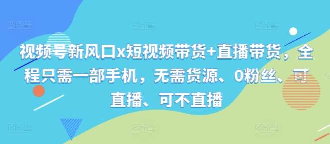 视频号新风口x短视频带货+直播带货，全程只需一部手机，无需货源、0粉丝、可直播、可不直播-九节课