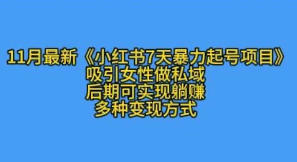 K总部落11月最新小红书7天暴力起号项目，吸引女性做私域【揭秘】-九节课