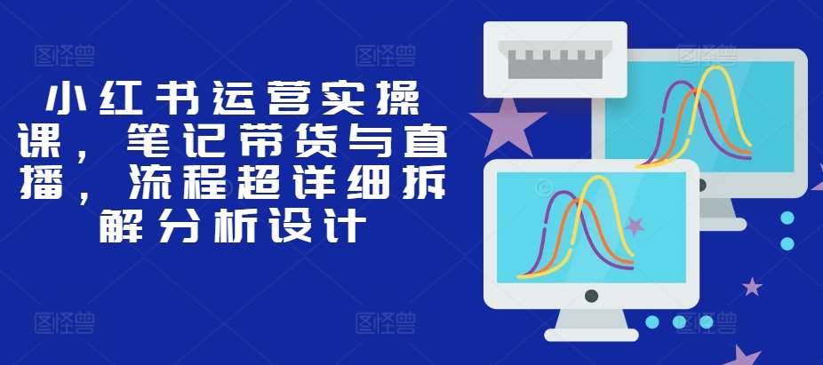 小红书运营实操课，笔记带货与直播，流程超详细拆解分析设计-九节课