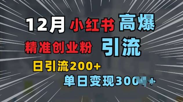 小红书一张图片“引爆”创业粉，单日+200+精准创业粉 可筛选付费意识创业粉【揭秘】-九节课