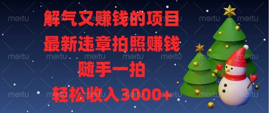 （13686期）解气又赚钱的项目，最新违章拍照赚钱，随手一拍，轻松收入3000+-九节课