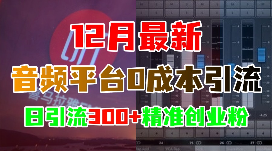 12月最新：音频平台0成本引流，日引300+精准创业粉-九节课