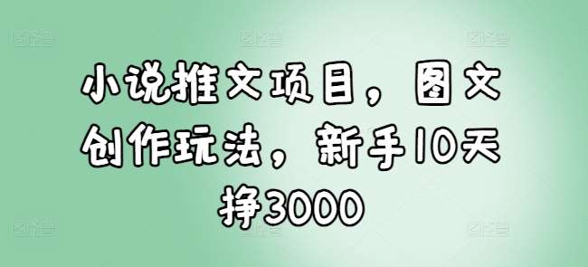 小说推文项目，图文创作玩法，新手10天挣3000-九节课