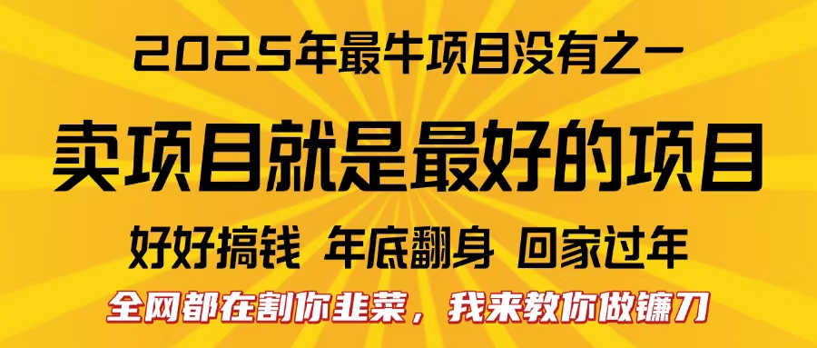 全网都在割你韭菜，我来教你做镰刀。卖项目就是最好的项目，2025年最牛互联网项目-九节课