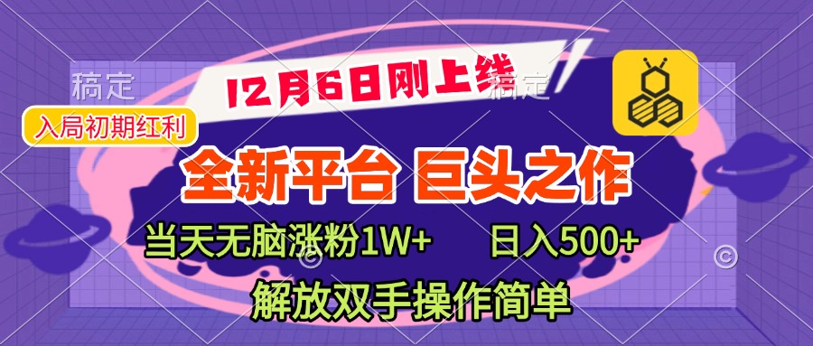 全新引流平台，巨头之作，当天无脑涨粉1W+，日入现500+，解放双手操作简单-九节课