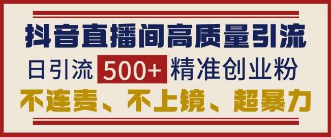 抖音直播间引流创业粉，无需连麦、不用上镜、超暴力，日引流500+高质量精准创业粉-九节课