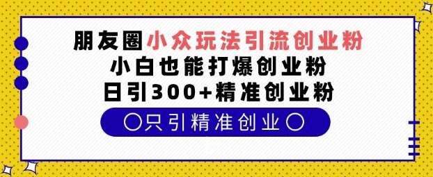 朋友圈小众玩法引流创业粉，小白也能打爆创业粉，日引300+精准创业粉【揭秘】-九节课