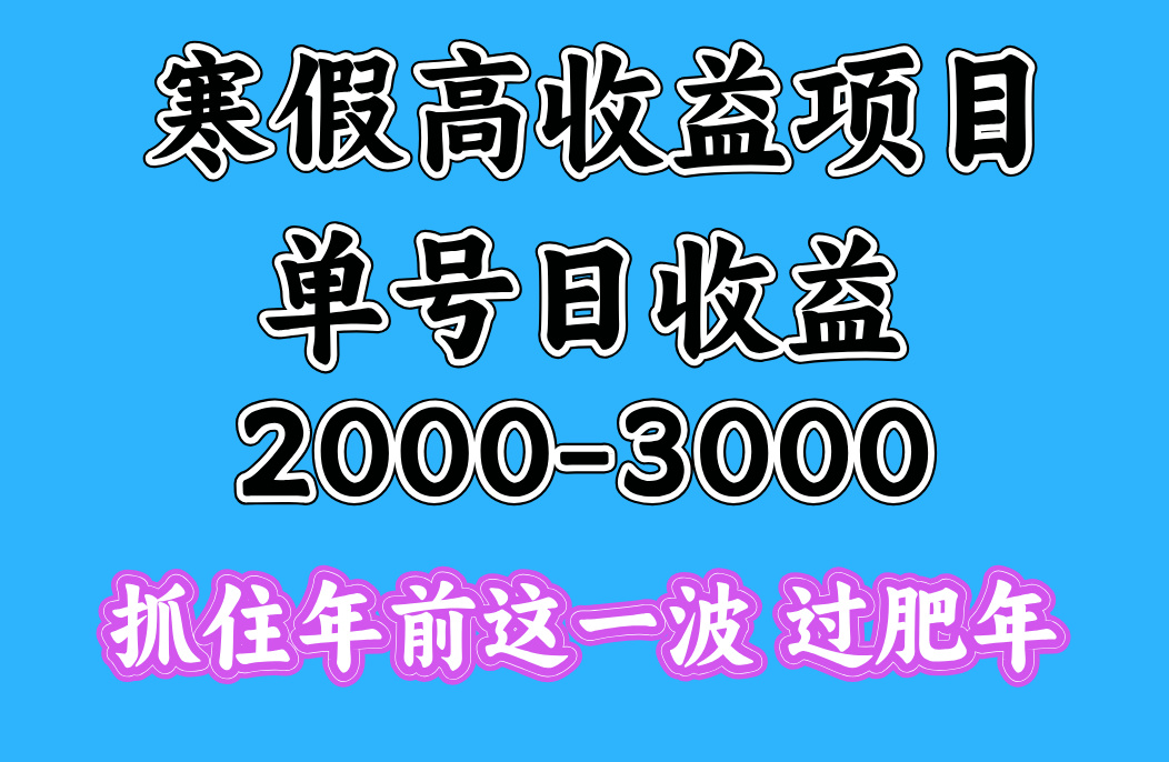 寒假期间一天收益2000-3000+，抓住年前这一波-九节课