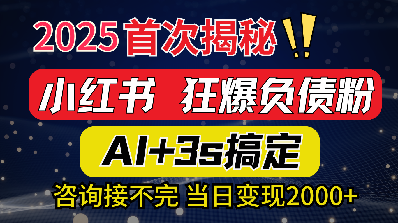 2025引流天花板：最新小红书狂暴负债粉思路，咨询接不断，当日入2000+-九节课