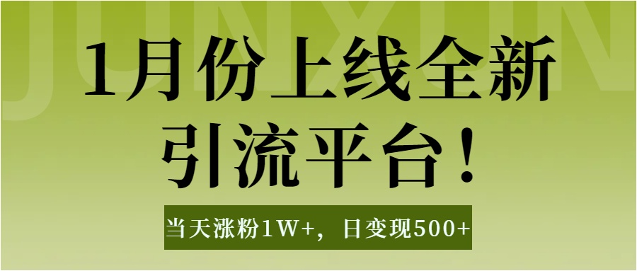 1月上线全新引流平台，当天涨粉1W+，日变现500+工具无脑涨粉，解放双手操作简单-九节课