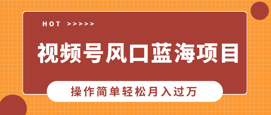 视频号风口蓝海项目，中老年人的流量密码，操作简单轻松月入过万-九节课