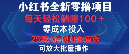 小红书全新纯零撸项目，只要有号就能玩，可放大批量操作，轻松日入100+【揭秘】-九节课