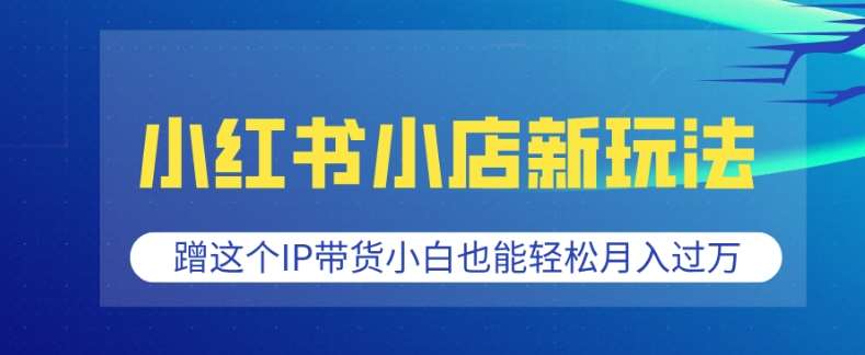 小红书小店新玩法，蹭这个IP带货，小白也能轻松月入过W【揭秘】-九节课