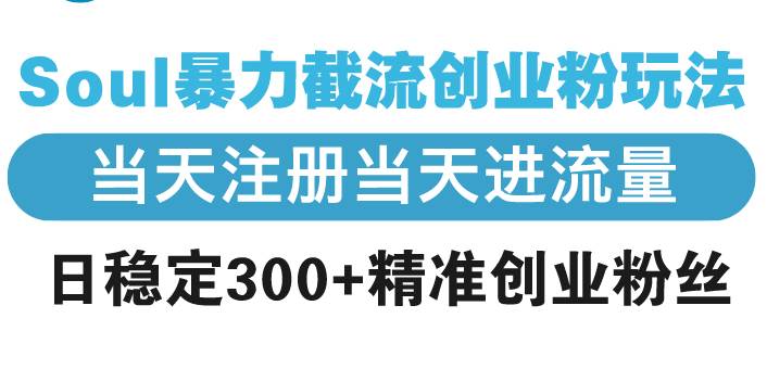 （13935期）Soul暴力截流创业粉玩法，当天注册当天进流量，日稳定300+精准创业粉丝-九节课