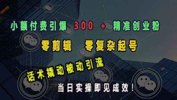 小额付费引爆 300 + 精准创业粉，零剪辑、零复杂起号，话术撬动被动引流，当日实操即见成效-九节课