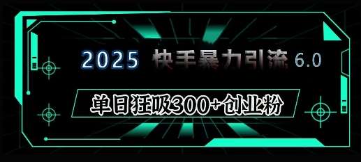 2025年快手6.0保姆级教程震撼来袭，单日狂吸300+精准创业粉-九节课