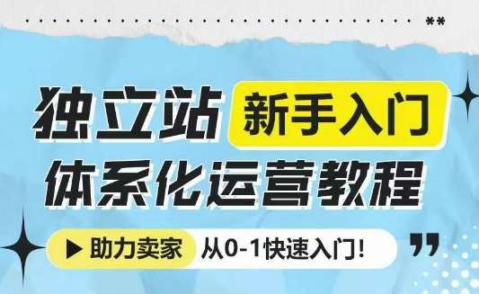 独立站新手入门体系化运营教程，助力独立站卖家从0-1快速入门!-九节课