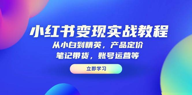 （13923期）小红书变现实战教程：从小白到精英，产品定价，笔记带货，账号运营等-九节课