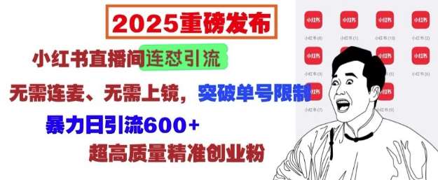 2025重磅发布：小红书直播间连怼引流，无需连麦、无需上镜，突破单号限制，暴力日引流600+-九节课